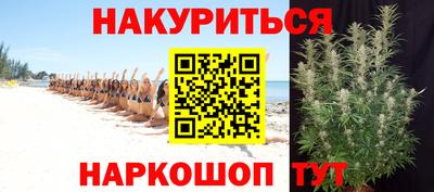 Альфа ПВП Дубна