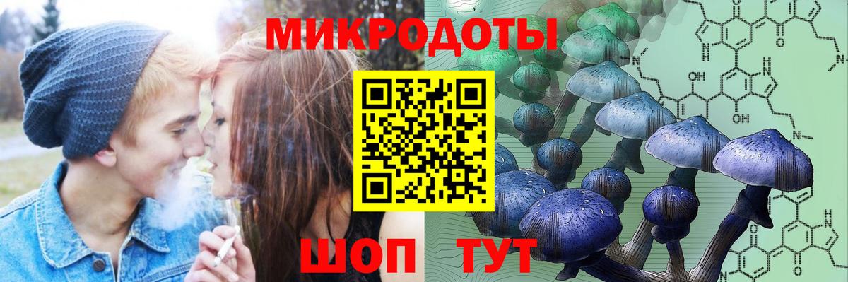 Лесной  Псилоцибиновые грибы ЛСД  Вход с VPN 
