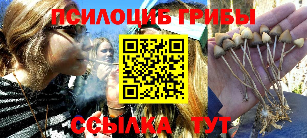 Галлюциногенные грибы MAGIC MUSHROOMS Лесной